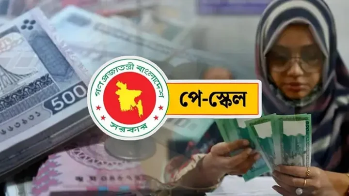 নতুন পে-স্কেলে বেতন দ্বিগুণ হবে, তেমনটা নয়: তথ্য উপদেষ্টা