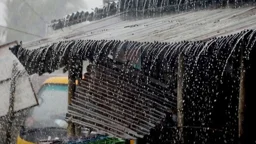 সাগরে গভীর নিম্নচাপ, টানা ৫ দিন ভারী বৃষ্টির আভাস
