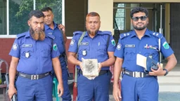 কবর খুঁড়তেই বেরিয়ে এলো রহস্যময় পাথর