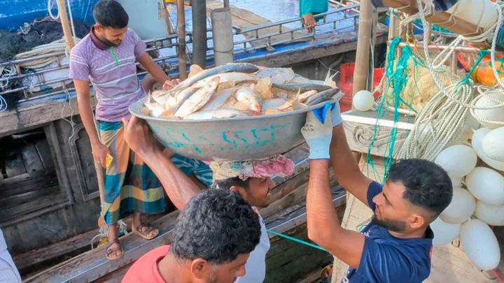 নিষেধাজ্ঞা শেষে বন্দরে মা ইলিশবোঝাই ট্রলার, প্রশ্নের মুখে নজরদারি