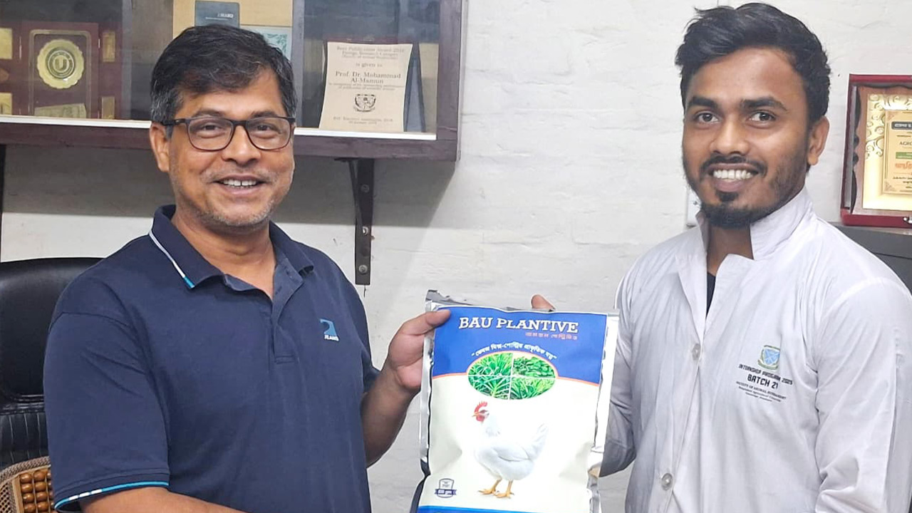 ‘বাউ-প্ল্যানটিফ’ নামে ফাইটোজেনিক ফিড তৈরি করেন বাকৃবির গবেষকরা। ছবি: এশিয়া পোস্ট