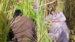 পাকিস্তান সীমান্তে বিএসএফের গুলি, নিহত ২