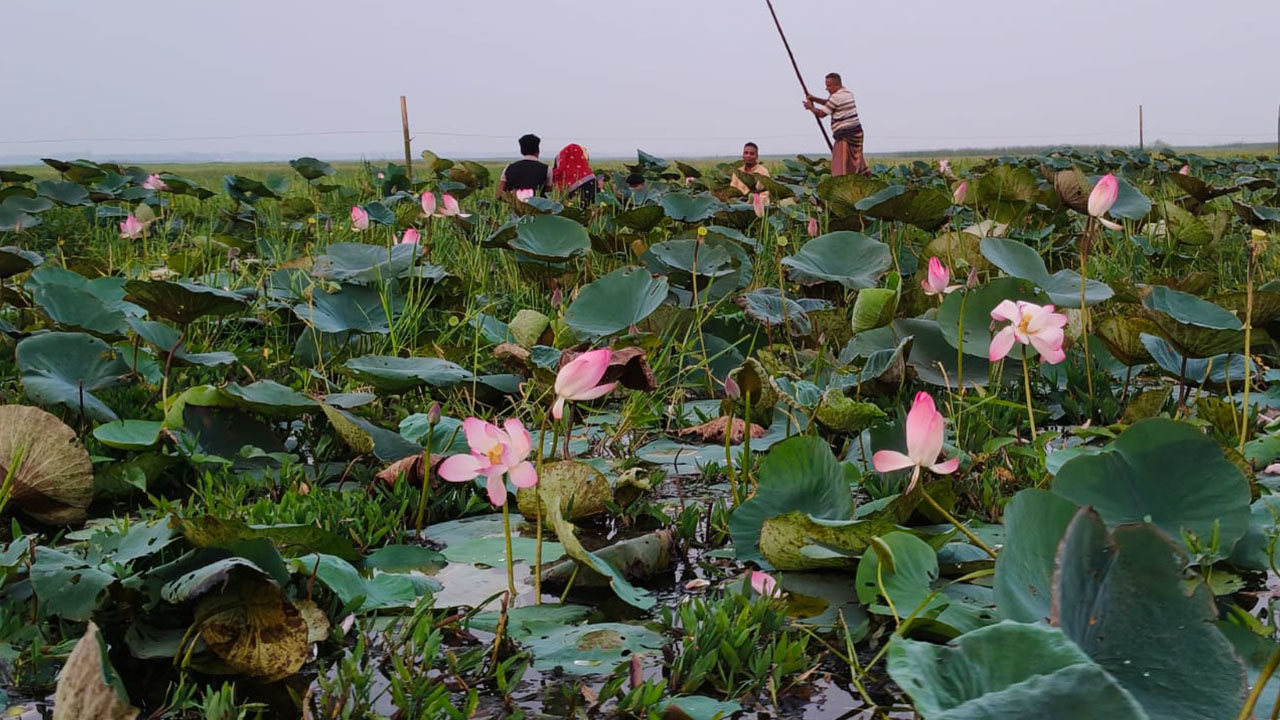 Bhutiya Beel