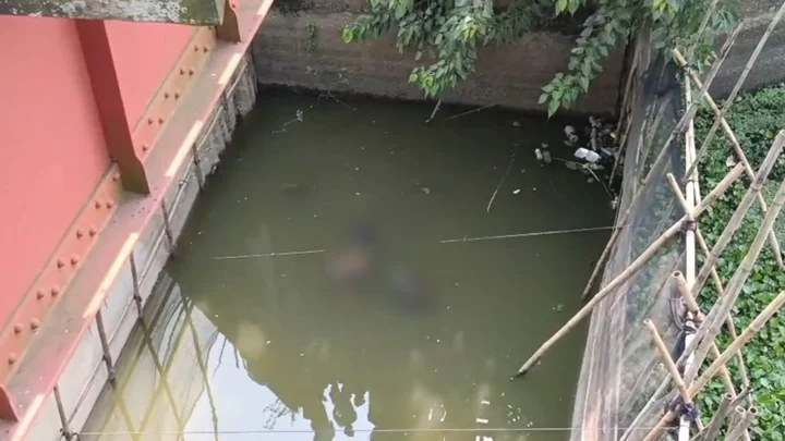 রেলসেতুর নিচে ভাসছিল মরদেহ, ব্যাগে পরিচয়পত্র-স্মার্টফোন