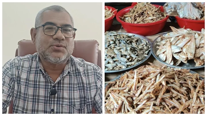 শুঁটকিতেও মিলল মাইক্রোপ্লাস্টিক, জনস্বাস্থ্য নিয়ে উদ্বেগ