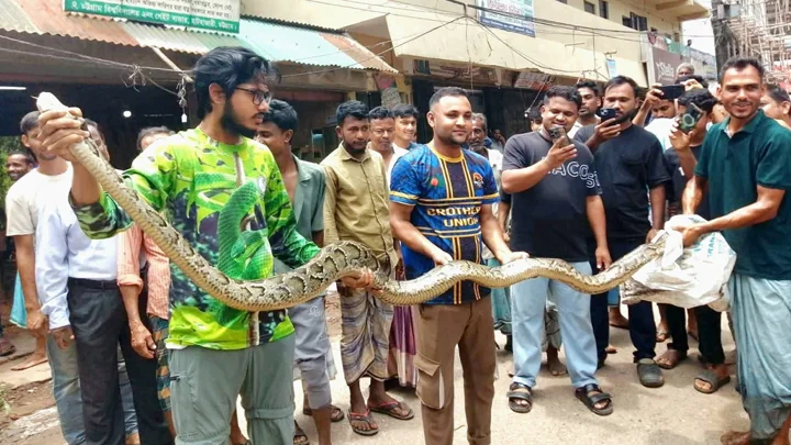 চট্টগ্রাম বিশ্ববিদ্যালয়ে ১৫ ফুট লম্বা অজগর উদ্ধার