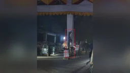 আমির হামজার জন্য তোরণ বানাতে ‘ন্যাড়া’ করা হলো ১৫ বছরের বকুলগাছ