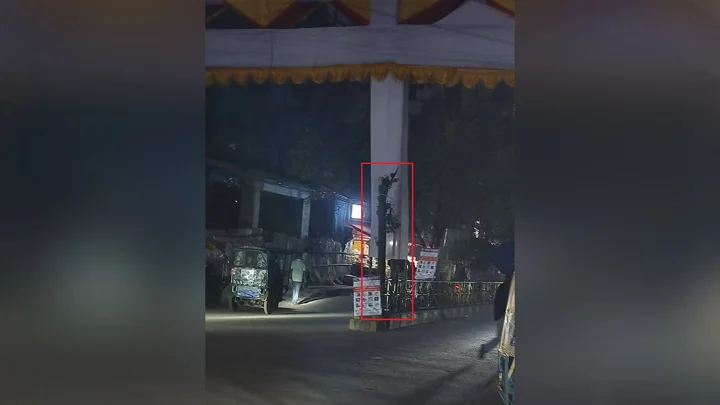 আমির হামজার জন্য তোরণ বানাতে ‘ন্যাড়া’ করা হলো ১৫ বছরের বকুলগাছ