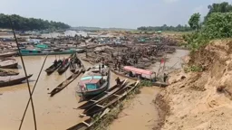 চেলা নদী থেকে ১০ দিনে ৫ কোটি টাকার বালু লুট