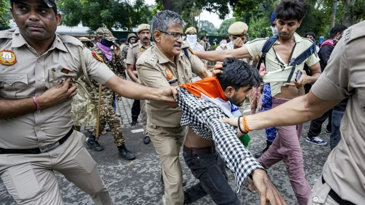 ককরোচ ডেমোক্রেসি: নিরস্ত্র কিন্তু বিপজ্জনক