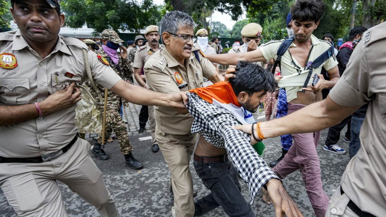 ককরোচ ডেমোক্রেসি: নিরস্ত্র কিন্তু বিপজ্জনক