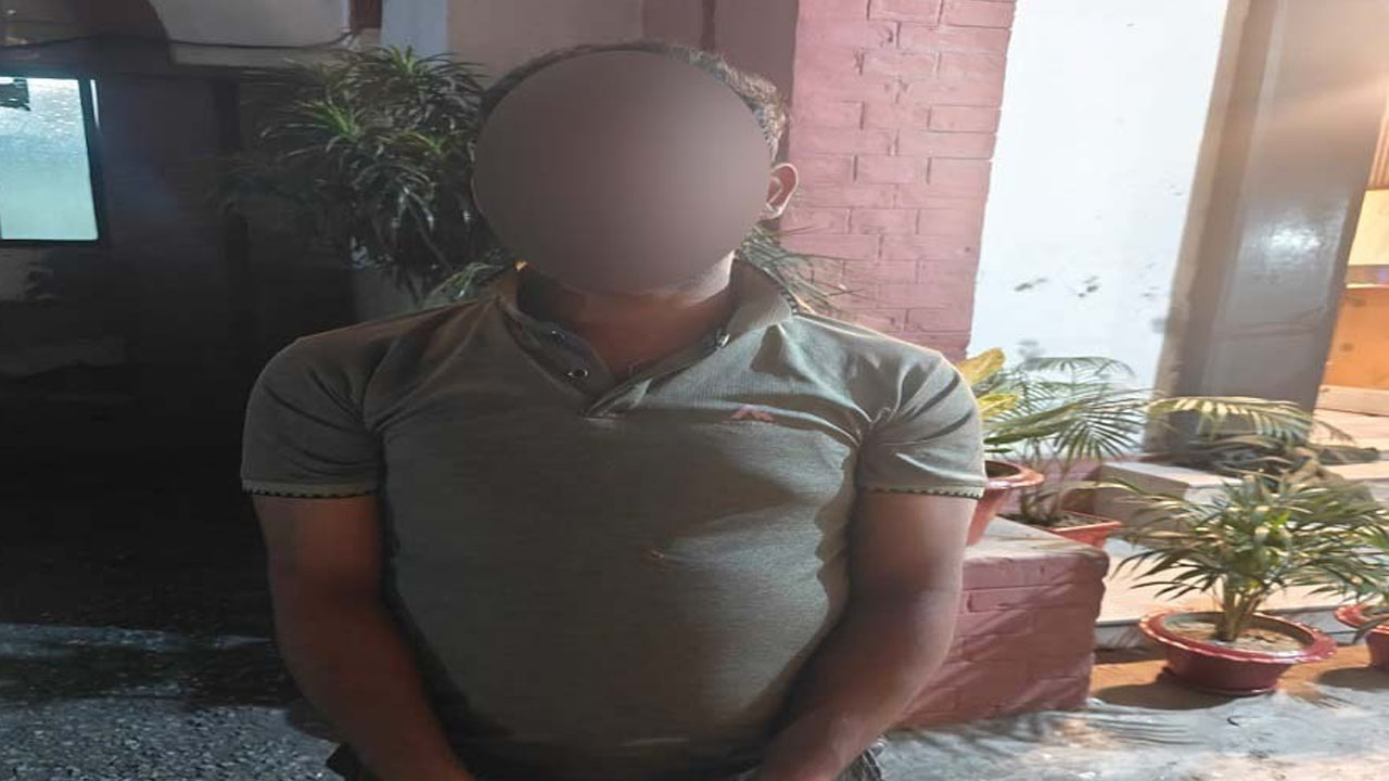 Dipu
