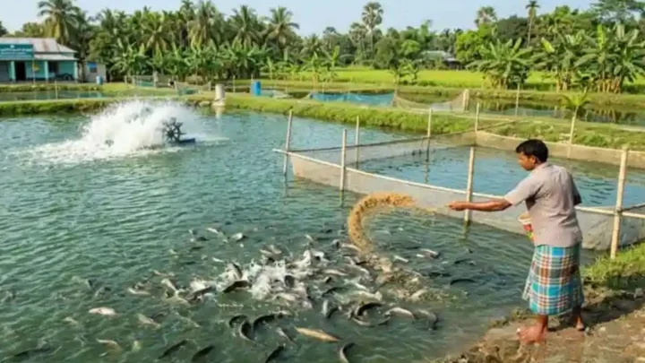 চার জেলার বাঁওড় উন্নয়নে নতুন প্রকল্প, সমৃদ্ধ হবে জেলেদের জীবিকা