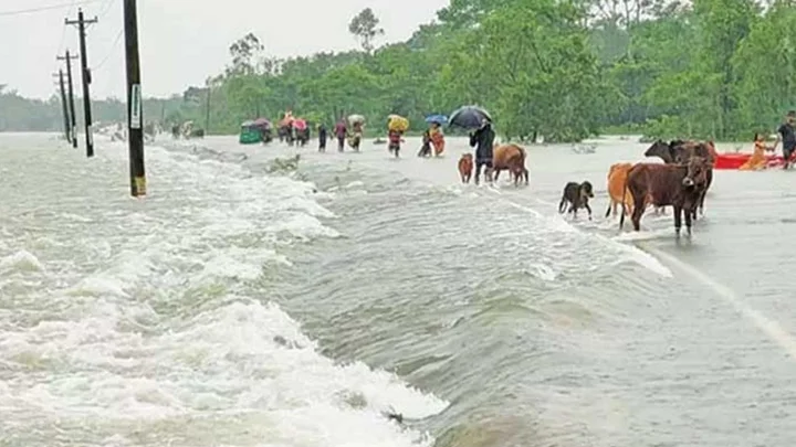 ভারী বৃষ্টি ও পাহাড়ি ঢলে ১২ জেলায় স্বল্পমেয়াদি বন্যার শঙ্কা