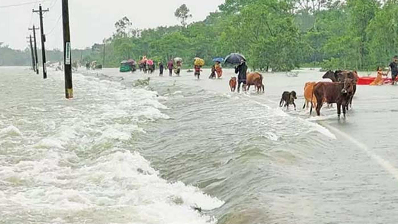 ভারী বৃষ্টি ও পাহাড়ি ঢলে ১২ জেলায় স্বল্পমেয়াদি বন্যার শঙ্কা