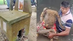বগুড়ায় মন্দিরে চুরি, ডোবা থেকে প্রতিমা উদ্ধার