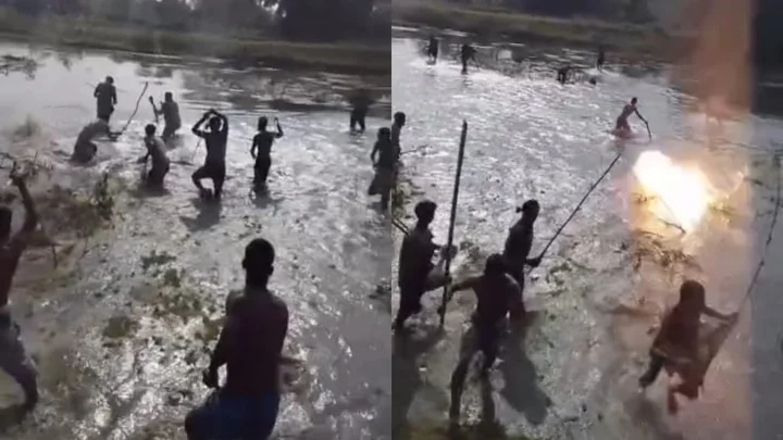 পাটগ্রাম সীমান্তে অনুপ্রবেশ, ধাওয়া খেয়ে গুলি-ককটেল ছুড়ে পালাল বিএসএফ