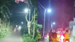 প্রবাসীদের ১০ লাখ টাকায় আলোকিত সোনালিয়া গ্রাম