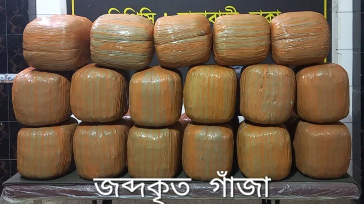 দক্ষিণ কেরানীগঞ্জে ৩০ লাখ টাকার গাঁজাসহ গ্রেপ্তার ১