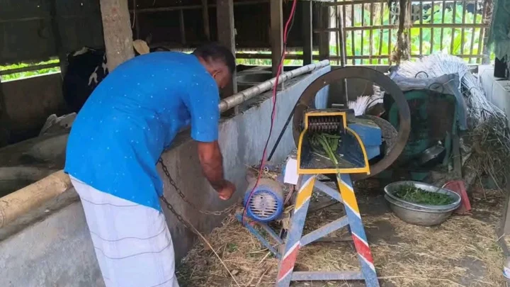 ঘাস কাটার মেশিনে বিদ্যুৎস্পৃষ্টে স্বামী-স্ত্রীর মৃত্যু