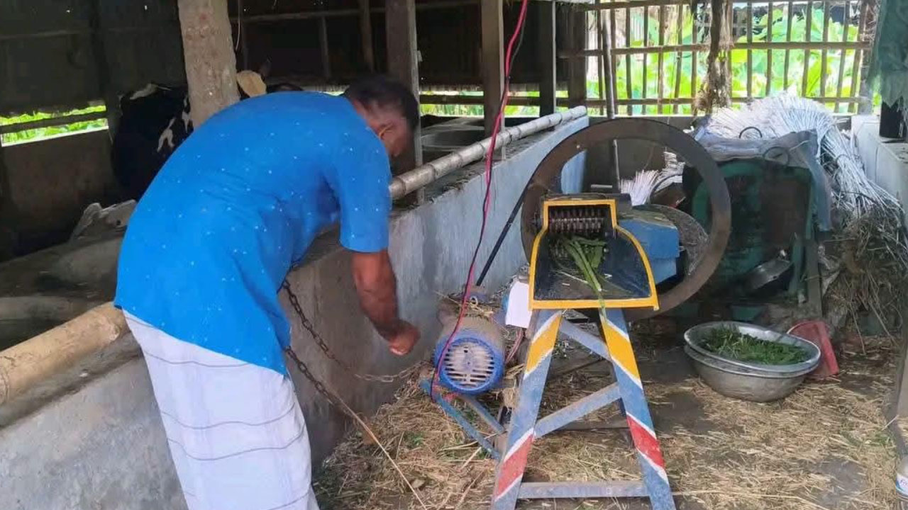 Grass cutting machine