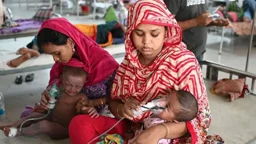 হাম উপসর্গে আরও তিনজনের মৃত্যু
