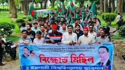 আওয়ামী লীগ-ছাত্রলীগের বিরুদ্ধে ইবি ছাত্রদলের বিক্ষোভ