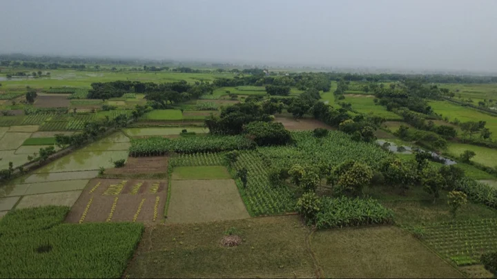
বিএসএফের হাতে বাংলাদেশি আটক, পাল্টা দুই ভারতীয়কে ধরল গ্রামবাসী