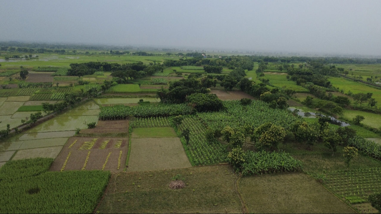 বিএসএফের হাতে বাংলাদেশি আটক, পাল্টা দুই ভারতীয়কে ধরল গ্রামবাসী