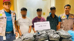 যাত্রাবাড়ীতে ৩৩ কেজি গাঁজাসহ ৩ মাদক কারবারি গ্রেপ্তার