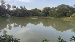 ঝিনাইদহে পাউবোর ১৩ পুকুর বেদখলে