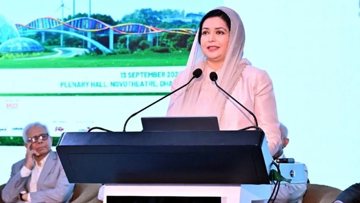 এক লাখ নতুন স্বাস্থ্যকর্মী নিয়োগ করা হবে: ডা. জুবাইদা