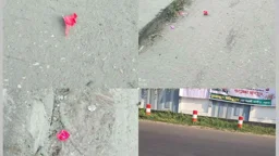 মাদারীপুরে বিচারকের বাসভবনের সামনে ককটেল বিস্ফোরণ