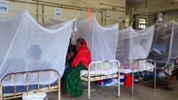 ডেঙ্গুতে আরও ৪ জনের মৃত্যু, হাসপাতালে ১৮৫১