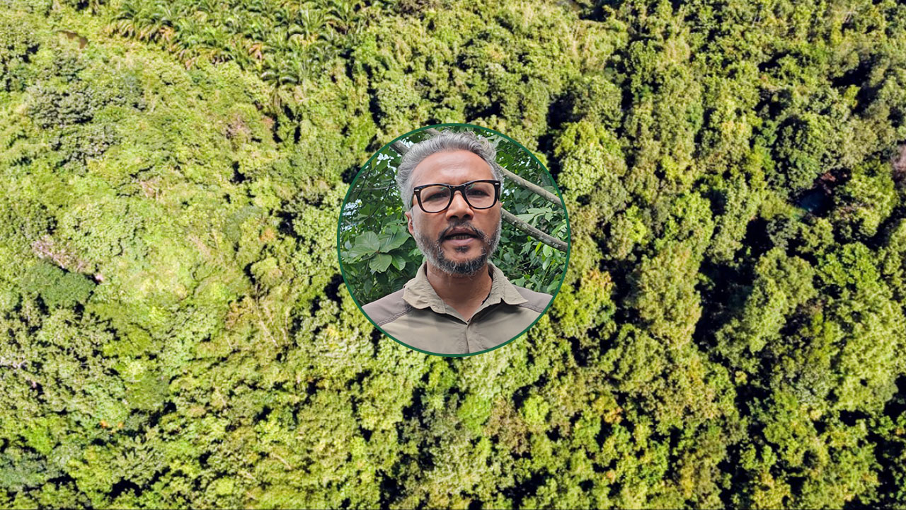 ম্যানচেস্টার ছেড়ে পাহাড়ে, বন বাঁচিয়ে জাতীয় সেরা মাহফুজ