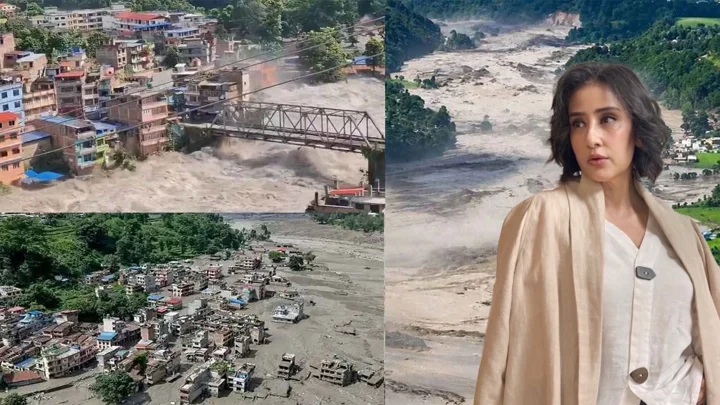 বিধ্বস্ত জন্মভূমির পাশে থাকার আহ্বান মনীষা কৈরালার 