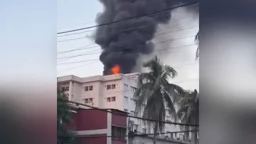 ময়মনসিংহ মেডিকেলে আগুন: বিতর্কের মুখে নতুন তদন্ত কমিটি 