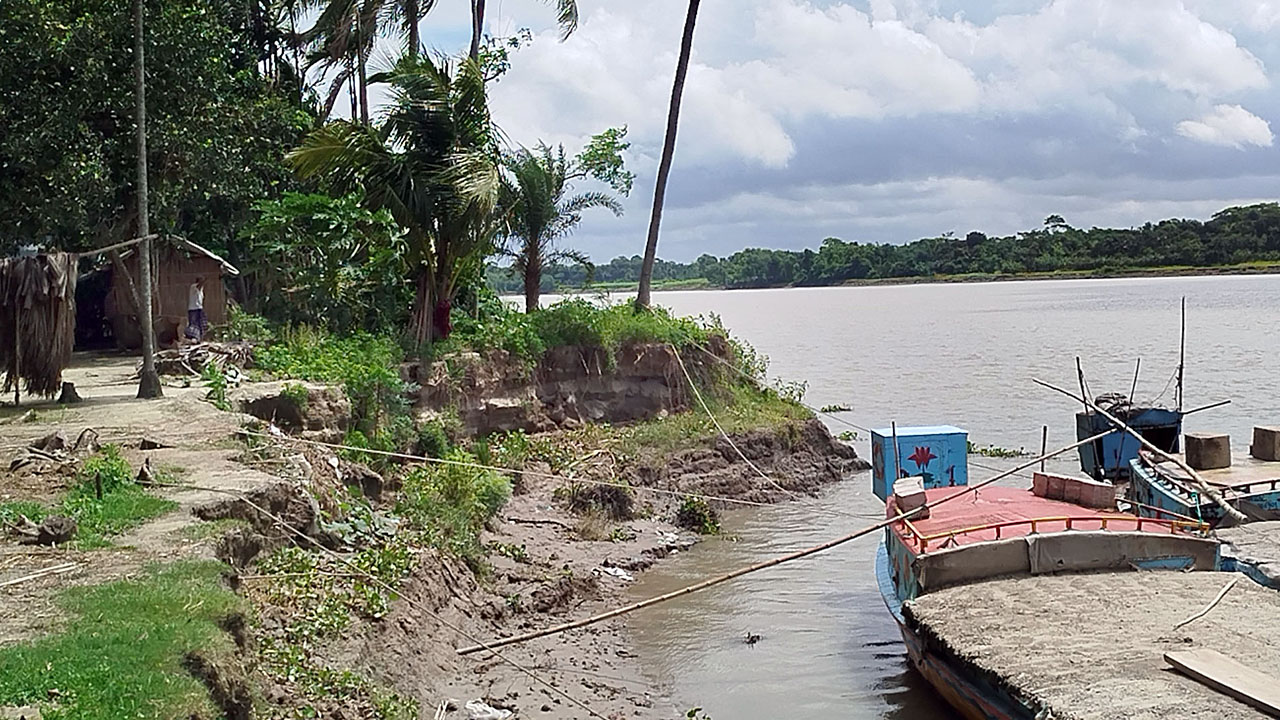 নবগঙ্গা নদীর ভাঙনে বসতবাড়ি ও বিস্তীর্ণ কৃষিজমি ঝুঁকিতে রয়েছে। ছবি : এশিয়া পোস্ট