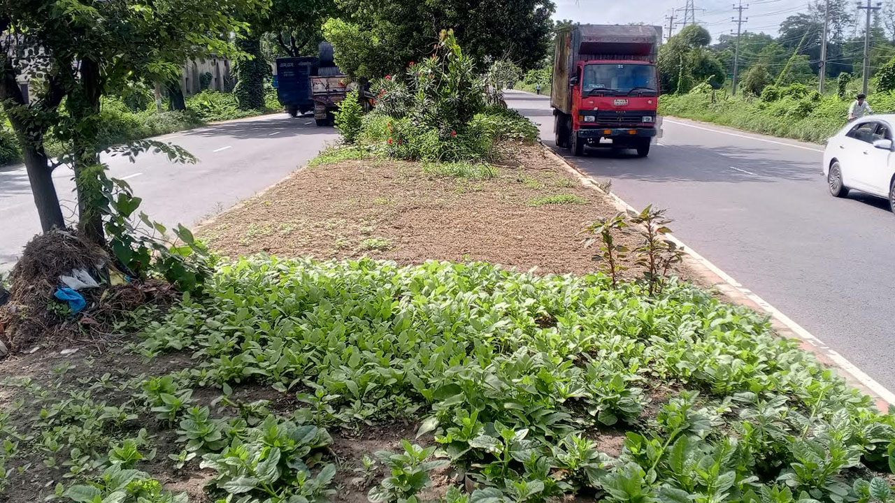 ছবি: এশিয়া পোস্ট