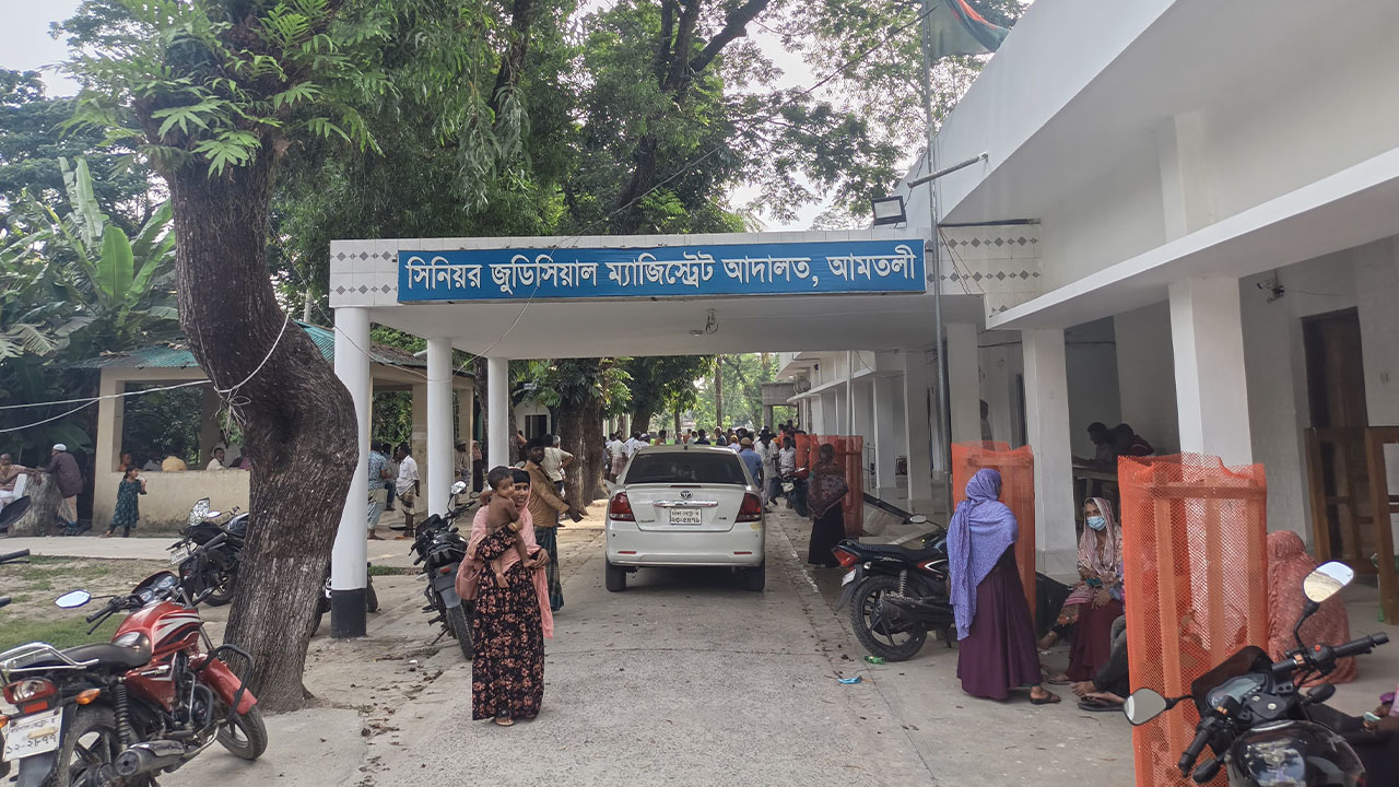 বন বিভাগের গাছ কেটে জেলে গেলেন ইউপি সদস্যসহ পাঁচজন