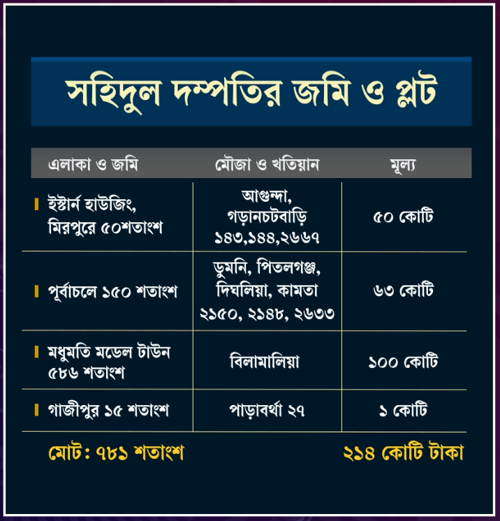 সহিদুল দম্পতির জমি ও প্লট।