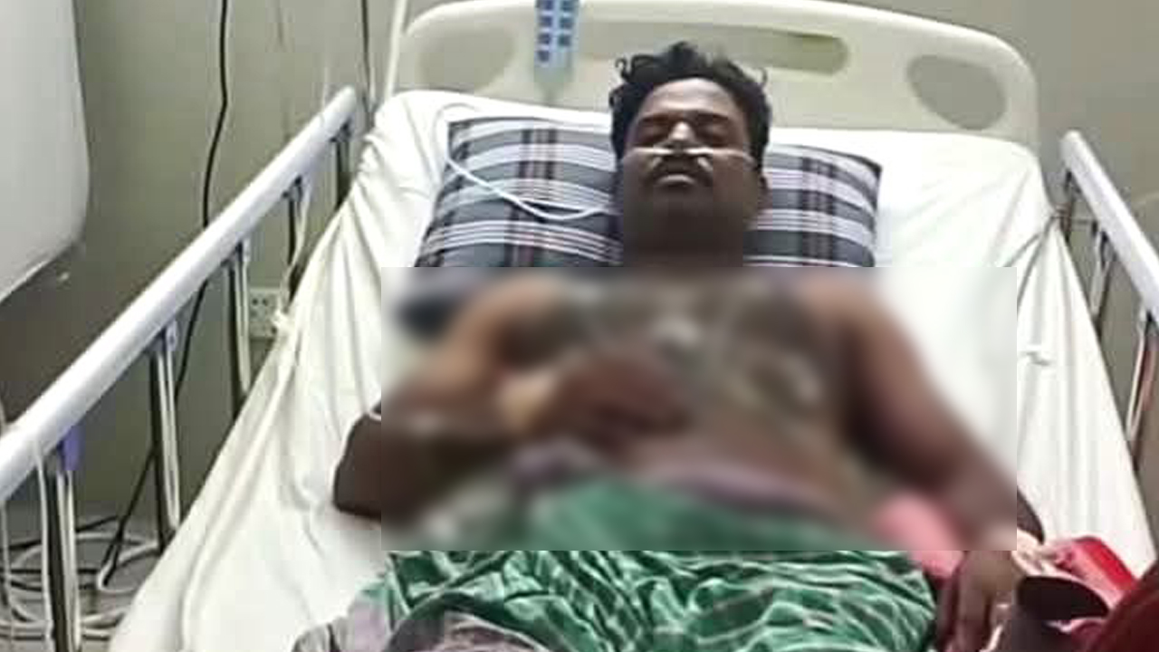 kustia