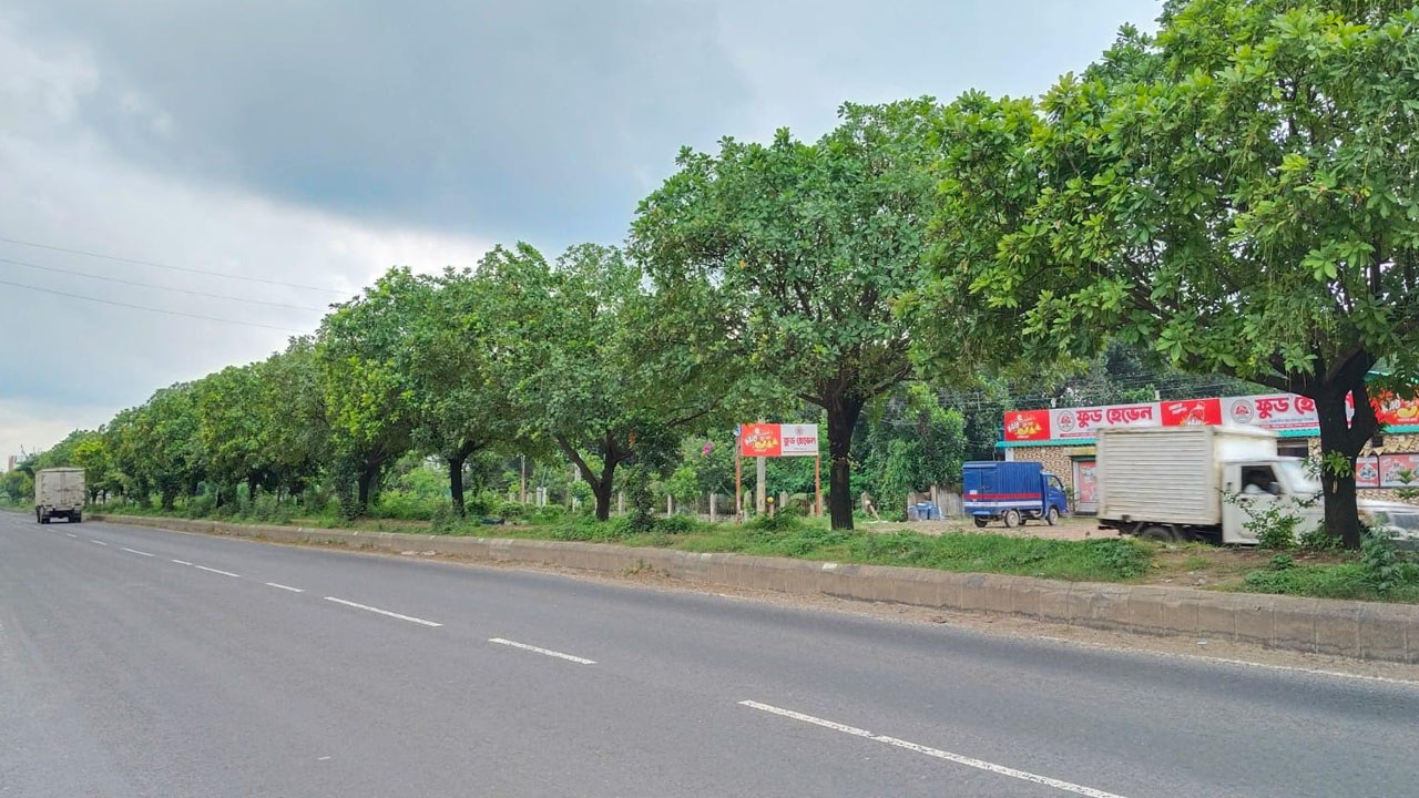 ছবি: এশিয়া পোস্ট