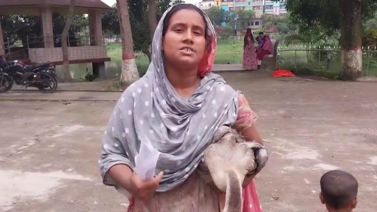 রাজহাঁসের পা ভাঙার প্রতিবাদ করতে গিয়ে হামলার শিকার, হাস নিয়ে থানায় নারী 