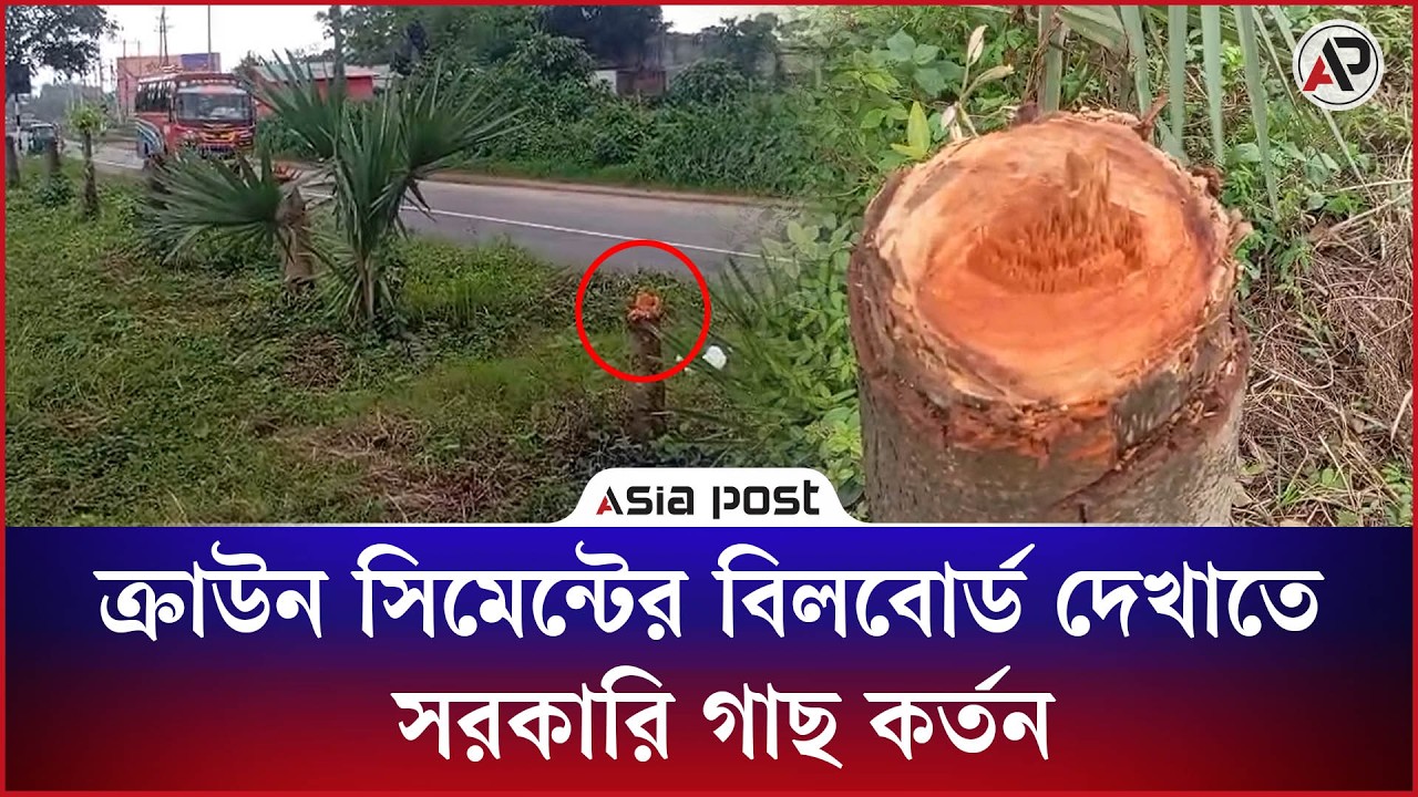 বিলবোর্ড দেখাতে কাটা হলো মহাসড়কের গাছ