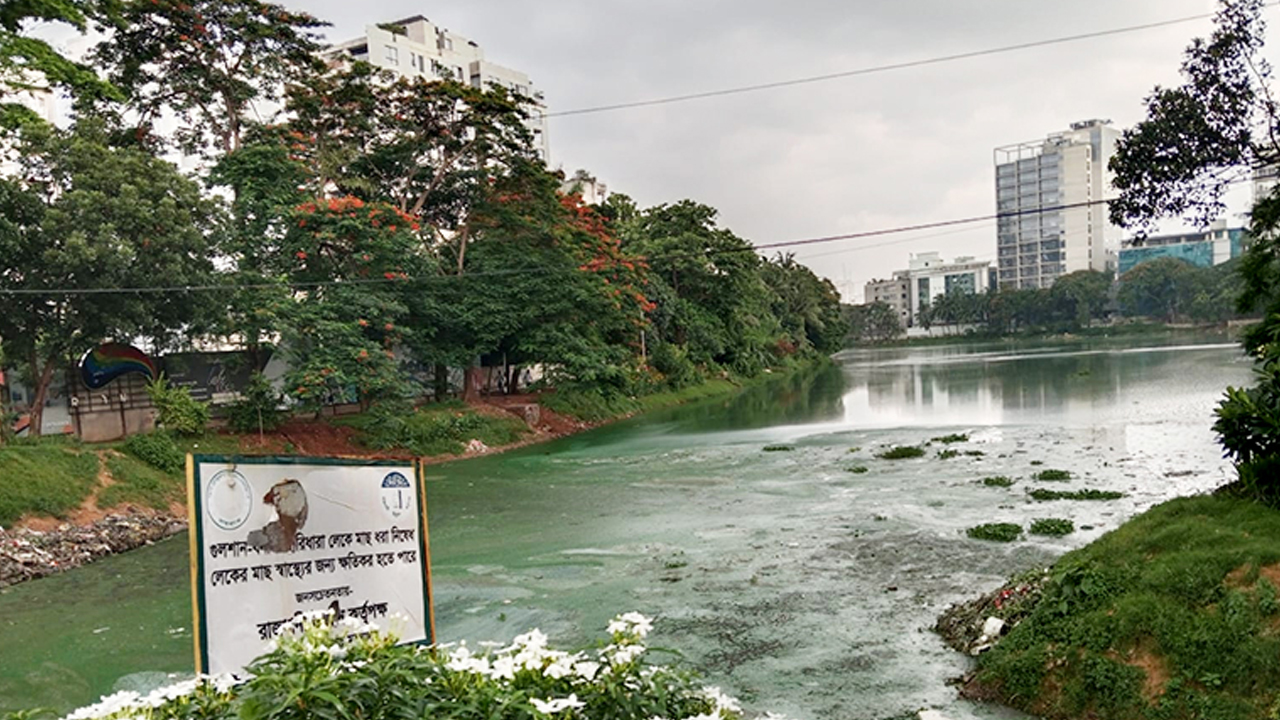 গুলশান-বনানীর অর্ধেকের বেশি ভবনে নেই সেপটিক ট্যাংক, এক মাসের সময় পাচ্ছেন মালিকরা