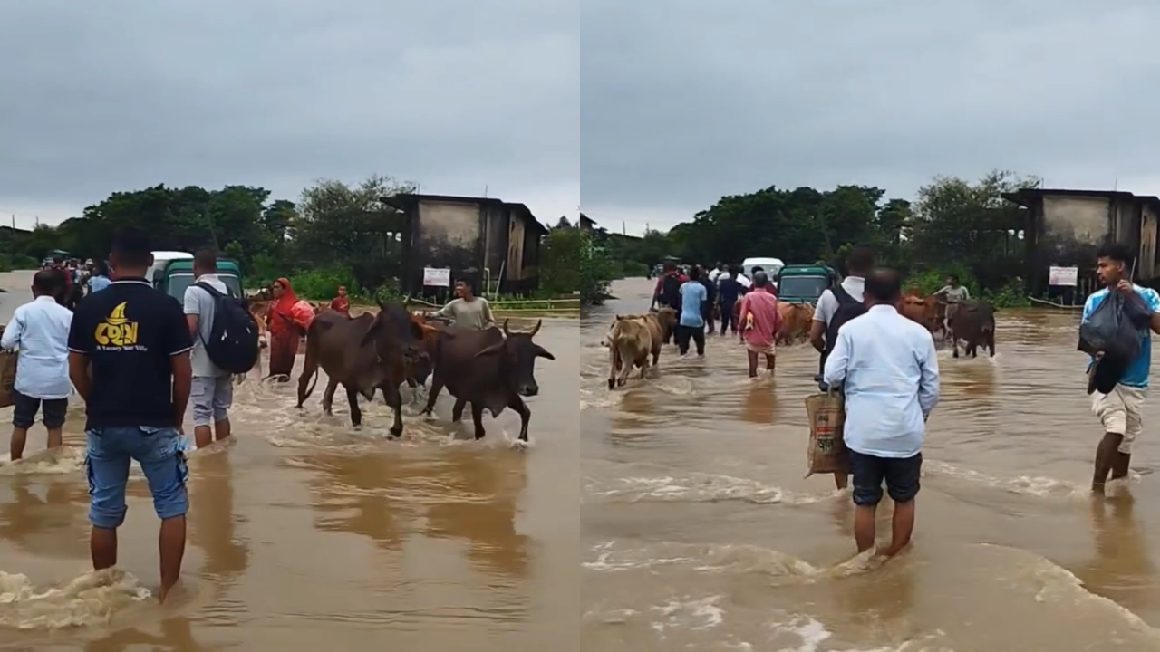 পাহাড়ি ঢলে তলিয়ে গেল সুনামগঞ্জ-তাহিরপুর সড়ক, যোগাযোগ বিচ্ছিন্ন