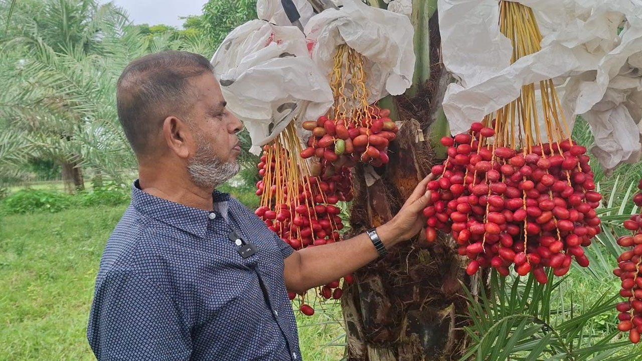 ছবি: এশিয়া পোস্ট