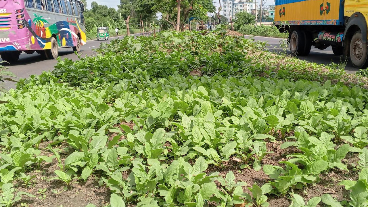 ছবি: এশিয়া পোস্ট