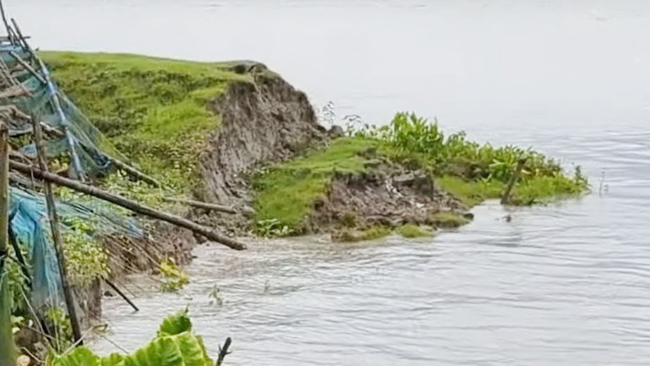 বর্ষা এলেই ভয়াল পায়রা, ভাঙনে নিঃস্ব হচ্ছে মানুষ